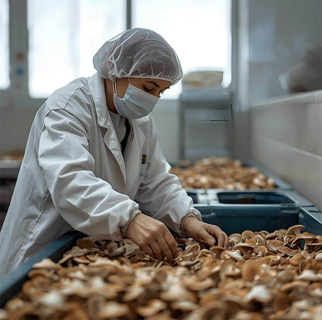 Mushroom Processing staff